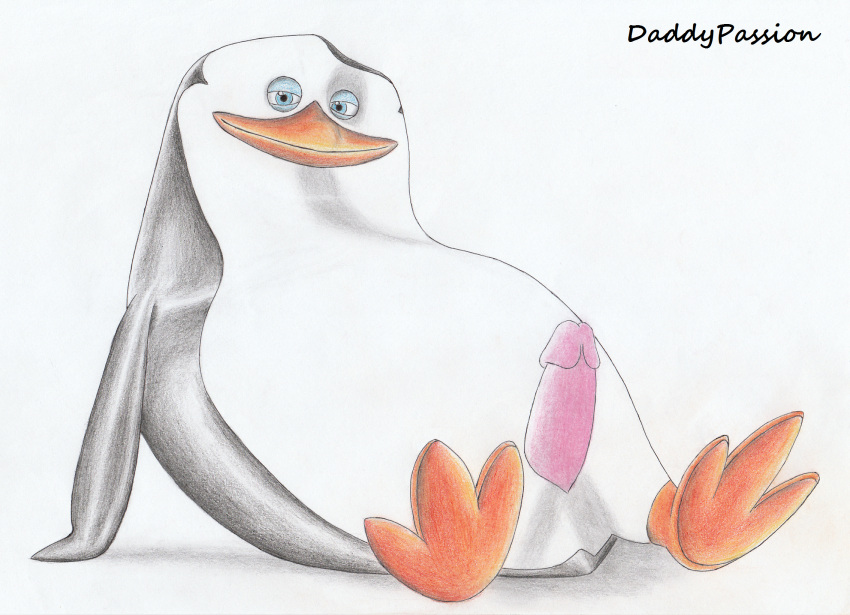 avian beak belly bird daddypassion dreamworks erection feet flippers genitals hi_res madagascar_(series) male nude penguin penis simple_background sitting skipper_(madagascar) smile solo the_penguins_of_madagascar wings