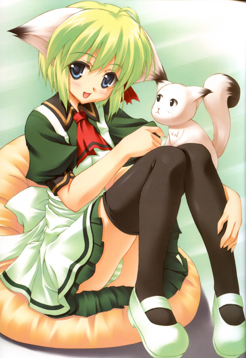 animal_ears aramaki_shigemasa greenwood midori pantsu rei shimapan thigh-highs