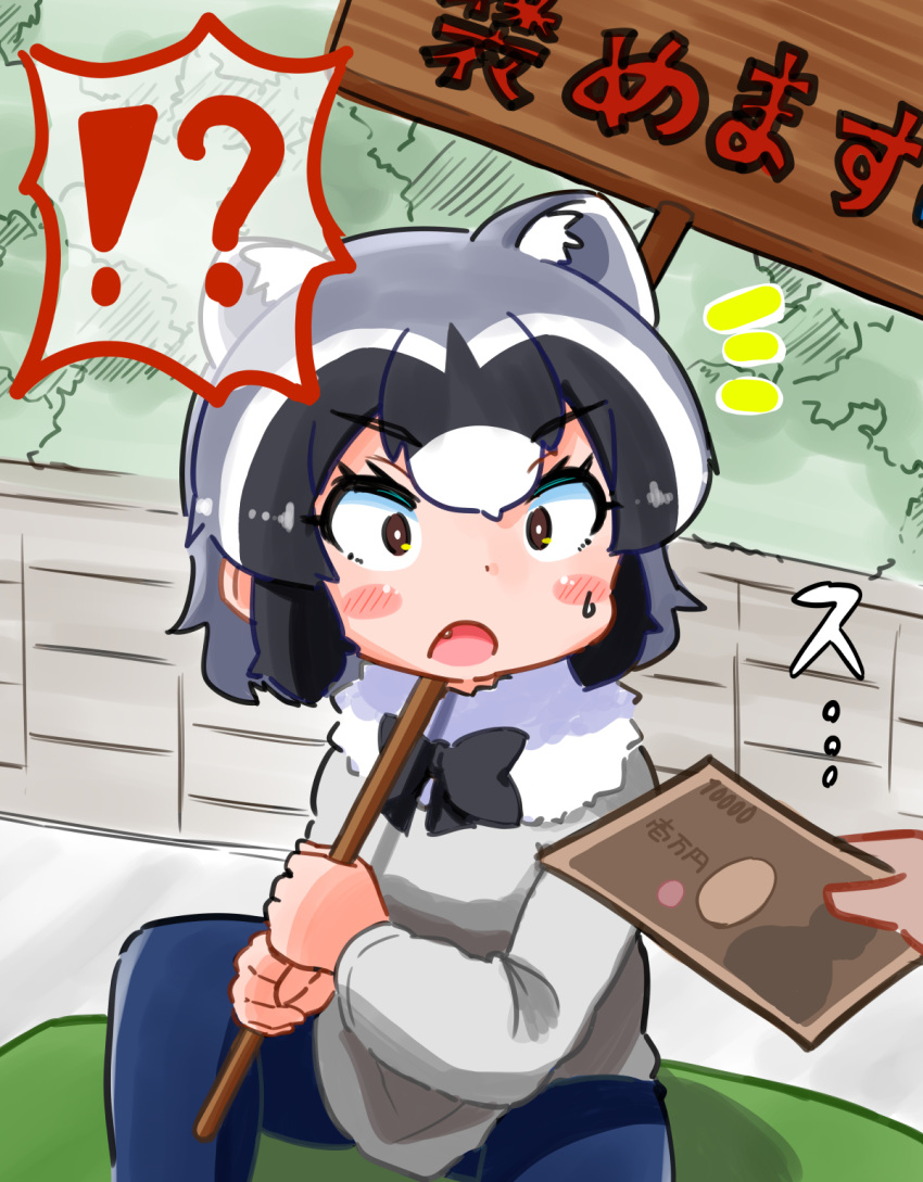 !? 1girl animal_ears bangs black_hair blush_stickers bow bowtie bright_pupils brown_eyes casual chibi common_raccoon_(kemono_friends) contemporary day extra_ears eyebrows_visible_through_hair fur_collar grey_hair highres holding holding_sign kemono_friends long_sleeves looking_at_object medium_hair money multicolored_hair no_tail outdoors pants raccoon_ears sidelocks sign sitting solo_focus surprised sweater takamaru_(minamimachi_seisakusho) white_hair white_pupils wide-eyed