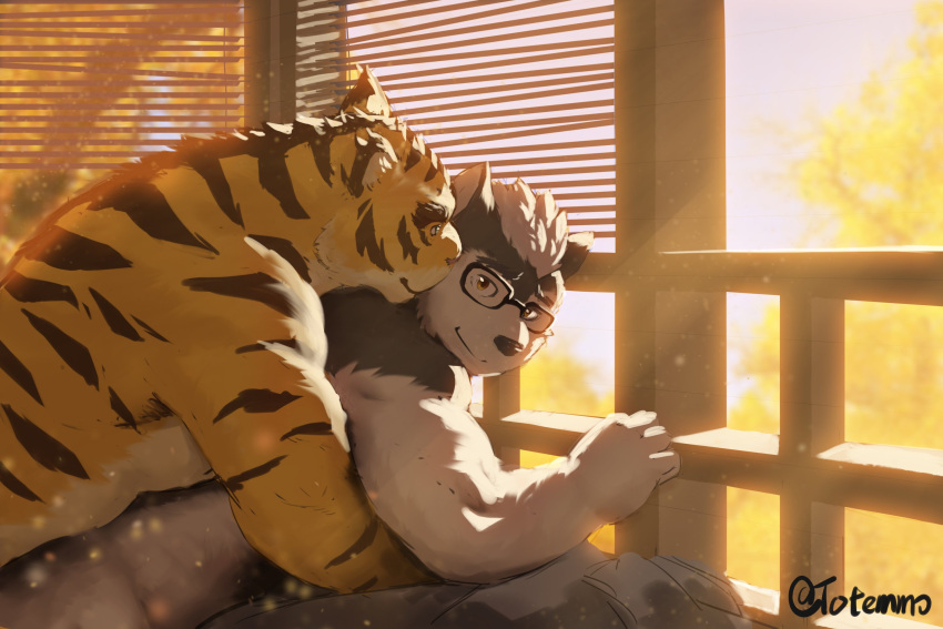 anthro bed bedding bedroom beenic big_muscles blanket blue_eyes canid canine canis day domestic_dog duo embrace eye_contact eyewear felid furniture glasses hair hi_res hug husky light looking_at_another male male/male mammal morenatsu muscular nordic_sled_dog nude pantherine plant spitz sunlight tiger torahiko_(morenatsu) totemmo tree video_games visual_novel white_hair window yellow_eyes