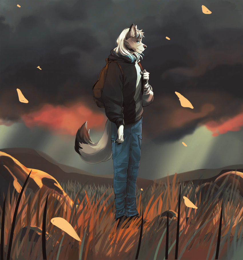 6everage animated anthro backpack blinking canid canine canis cloud dante_kinkade exploring field grass hi_res looking_at_viewer male mammal plant short_playtime solo storm tall_grass wind wolf