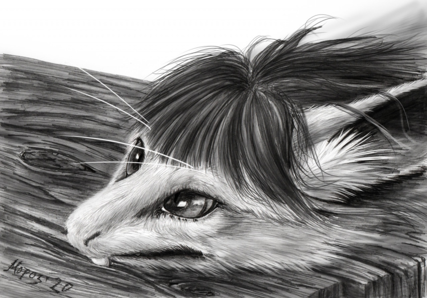 ambiguous_gender anthro dimasbka fur greyscale hair mammal monochrome out-of-placers realistic solo stuck traditional_media_(artwork) webcomic wood yinglet