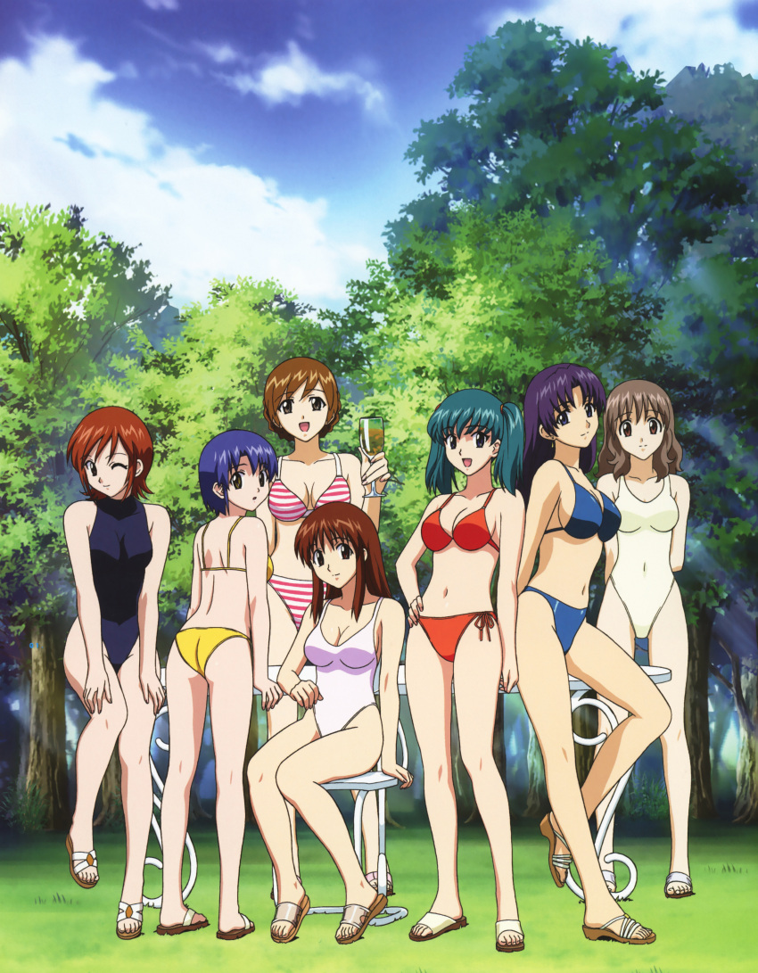 6+girls absurdres aqua_hair ass back bikini blue_hair breasts brown_eyes brown_hair cleavage collarbone covered_navel cup doi_shizuha glass hand_on_hip highres holding holding_cup honjou_mikaze kikuhara_karin kisaragi_sayaka large_breasts long_hair looking_back medium_breasts mikuriya_ran mukai_touko multiple_girls nakamura_ayamo navel one-piece_swimsuit one_eye_closed open_mouth outdoors purple_eyes purple_hair sandals short_hair shoulder_blades side-tie_bikini sitting smile standing stratos_4 striped striped_bikini striped_swimsuit swimsuit tree twintails yamauchi_noriyasu