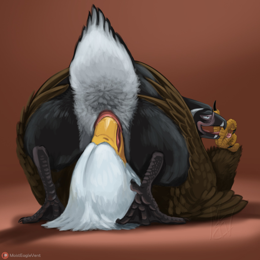 accipitrid accipitriform ambiguous_gender animal_genitalia anthro avian beak beak_fetish beak_play beak_sex beakjob bird bird_feet bodily_fluids butt butt_focus cloaca cloaca_juice cloacal cloacal_penetration duo eagle face_in_ass feathers foot_fetish foot_lick foot_play genital_fluids genitals hi_res licking moisteaglevent nude open_mouth oral penetration sex simple_background smile tail_feathers tongue tongue_out wings