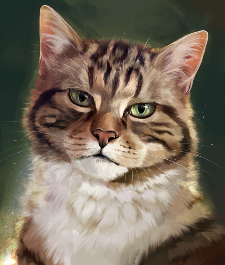 2022 ambiguous_gender digital_media_(artwork) domestic_cat felid feline felis feral fur green_eyes grey_body grey_fur headshot_portrait hi_res looking_at_viewer mammal muns11 portrait solo whiskers