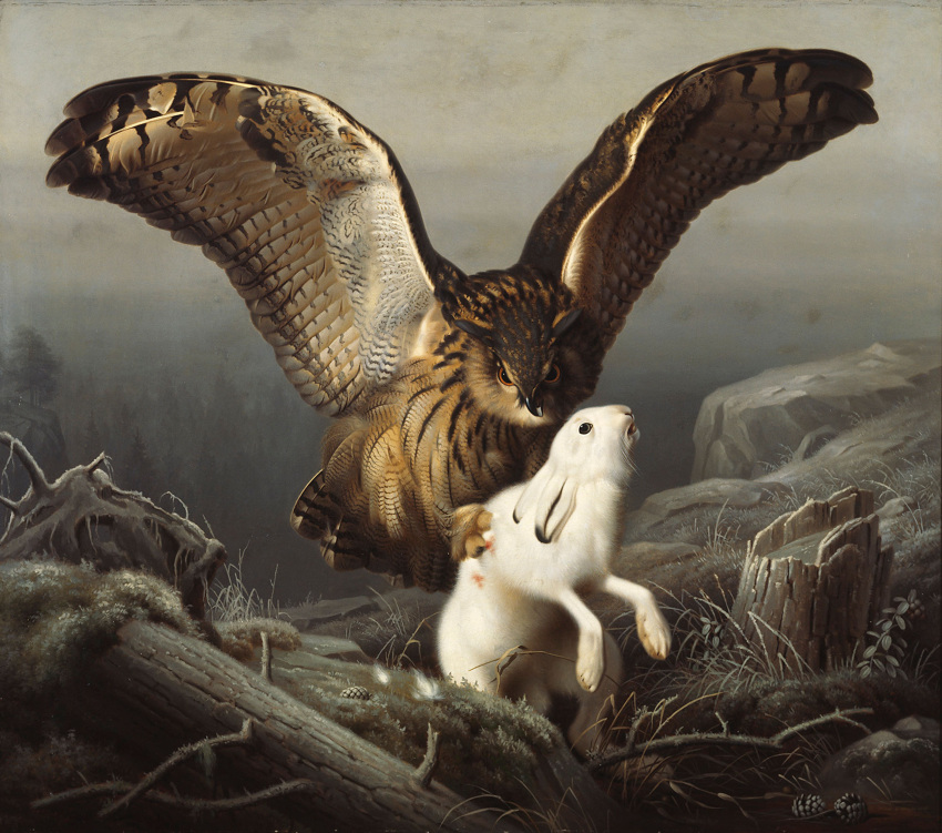 1860 19th_century absurd_res ambiguous_gender ancient_art avian bird brown_body brown_feathers bubo_(genus) duo feathered_wings feathers feral ferdinand_von_wright fur hare hi_res hunting lagomorph leporid long_ears mammal no_sclera nude oil_painting_(artwork) orange_eyes outside owl painting_(artwork) predator/prey public_domain spread_wings traditional_media_(artwork) true_owl white_body white_fur wings