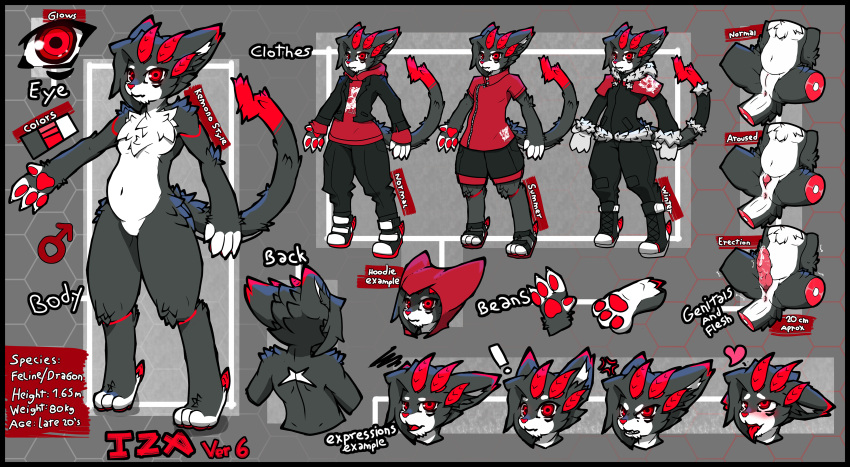 absurd_res anthro bean black_body black_fur clothing domestic_cat dragon erection felid feline felis fur hi_res hoodie izanagi_rockman male mammal model_sheet red_eyes ryuzagi solo text topwear white_body white_fur