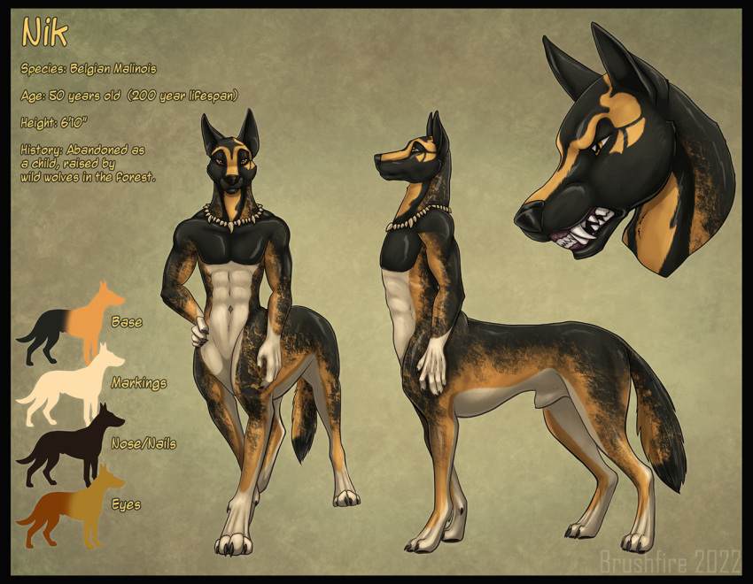 belgian_shepherd brushfire canid canine canis doggo domestic_dog herding_dog malinois_dog mammal pastoral_dog sheepdog taur undertale undertale_(series) video_games