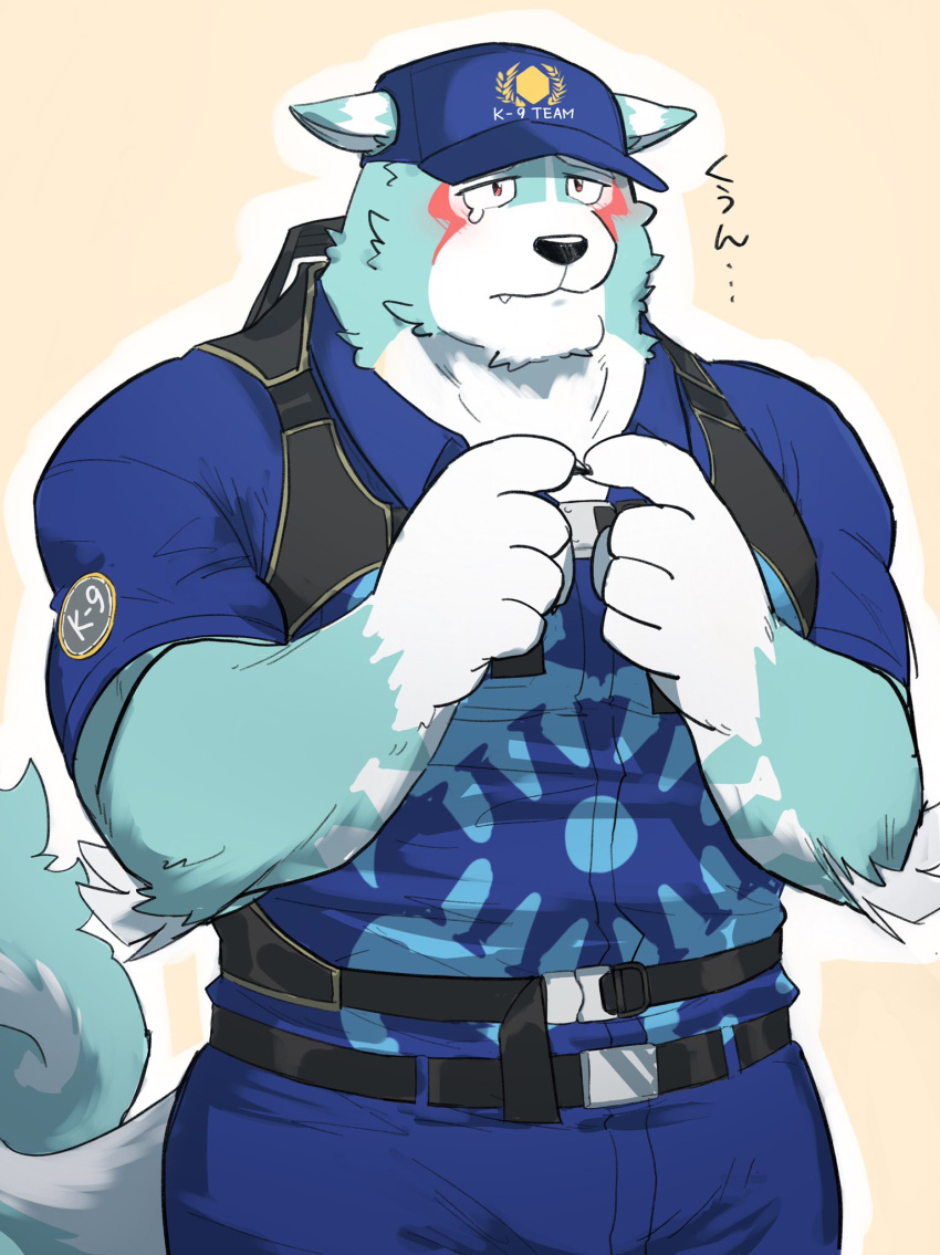 1boy 1hao_(@cerbero64) animal_ears bara blue_fur bulge chest_harness cowboy_shot ears_down fidgeting furry furry_male harness highres index_fingers_together large_tail male_focus muscular muscular_male oguchi_magami pectorals police police_uniform policeman solo tail tearing_up tokyo_afterschool_summoners uniform white_fur wolf_boy wolf_ears