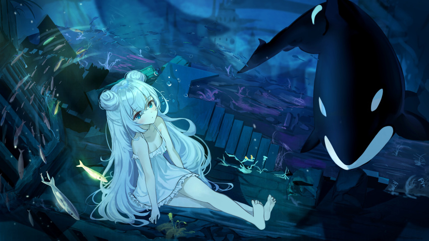 1girl absurdres azur_lane bangs bare_legs barefoot blue_eyes blush breasts closed_mouth collarbone crossed_legs double_bun eyebrows_visible_through_hair feet fish full_body highres le_malin_(azur_lane) le_malin_(sleepy_sunday)_(azur_lane) legs lemontea_(ekvr5838) long_hair looking_up nightgown official_alternate_costume shark silver_hair sitting small_breasts soles solo toes underwater white_nightgown