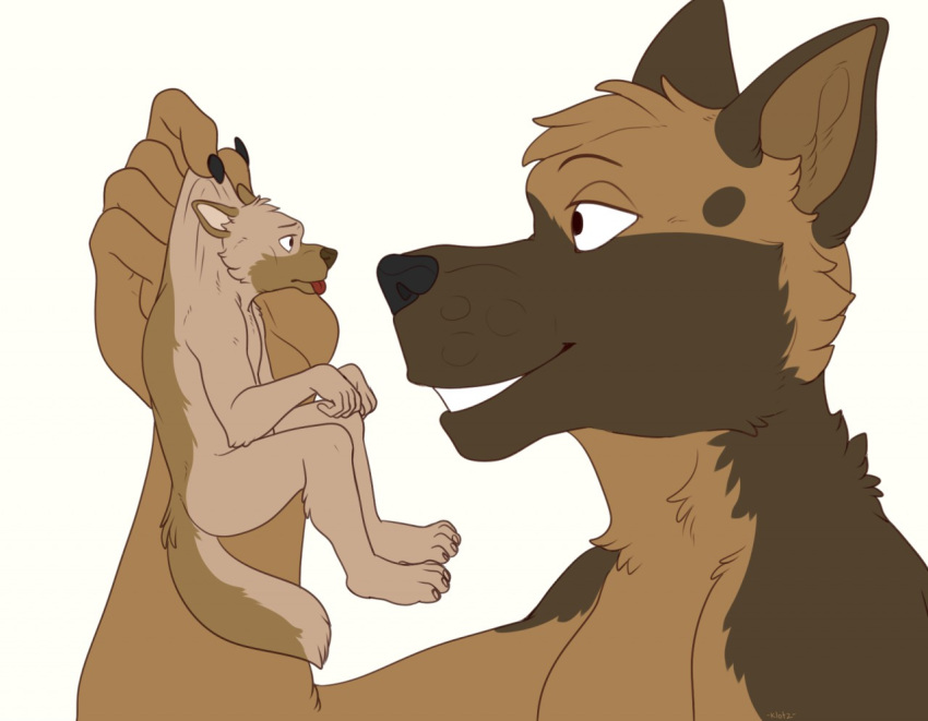 2018 ambiguous_gender anthro begging begging_pose brown_body canid canine canis claws digital_drawing_(artwork) digital_media_(artwork) digitigrade domestic_dog duo eye_contact german_shepherd herding_dog klotzzilla looking_at_another male_(lore) mammal micro multicolored_body nick_(holz) pastoral_dog pose sam_(holz) simple_background size_difference tan_body toe_claws tongue tongue_out white_background
