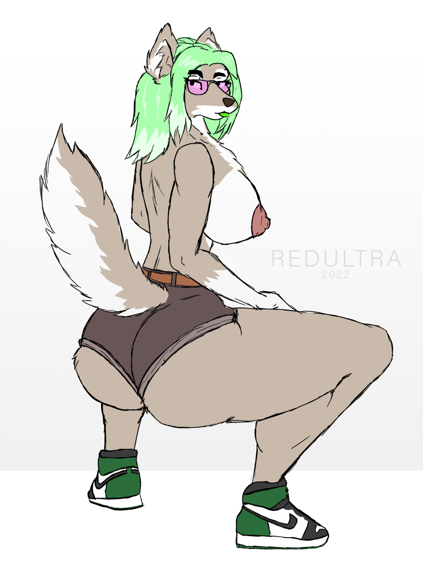 absurd_res anthro big_breasts bottomwear breasts butt canid canine canis clothing crouching eyewear female footwear fur glasses grey_body grey_fur hi_res mammal redultra8 shoes shorts sneakers solo wolf