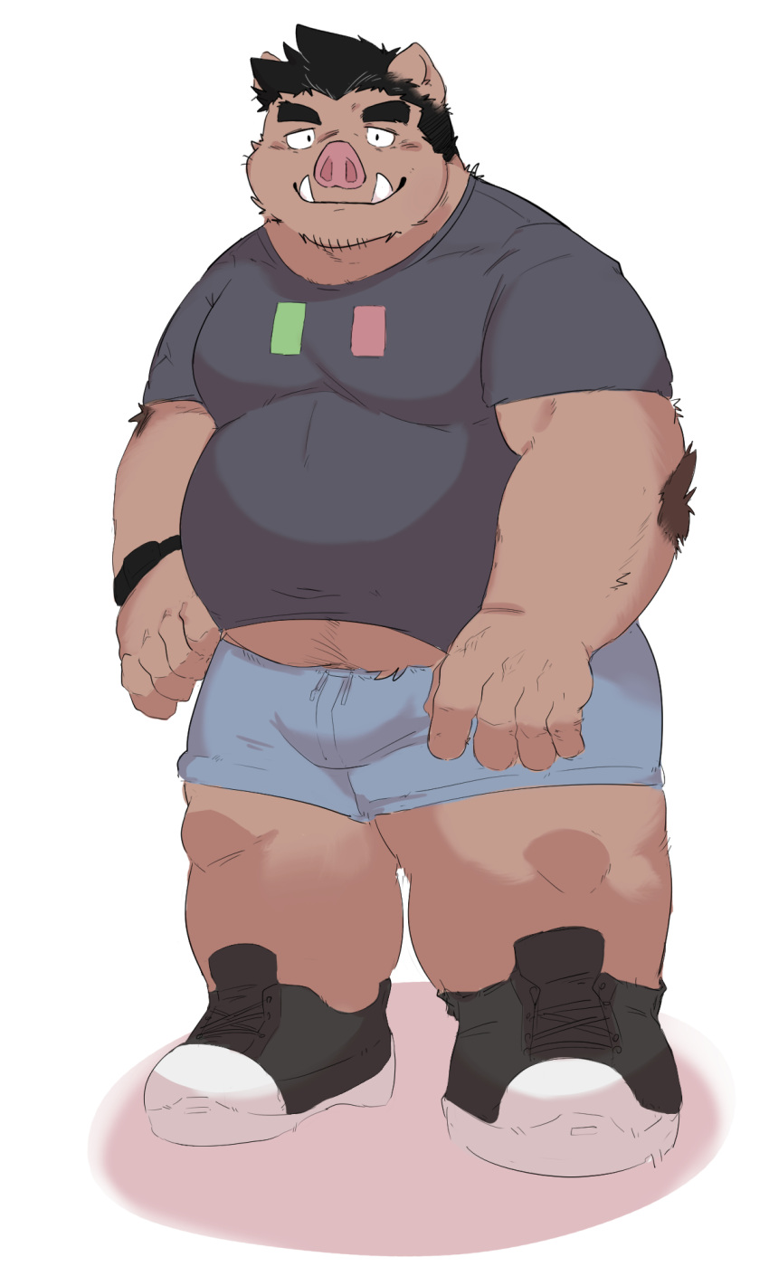 2022 anthro blush bottomwear brown_body bulge clothing hi_res humanoid_hands kemono male mammal overweight overweight_male shirt shorts solo suid suina sus_(pig) topwear whitebeast20 wild_boar