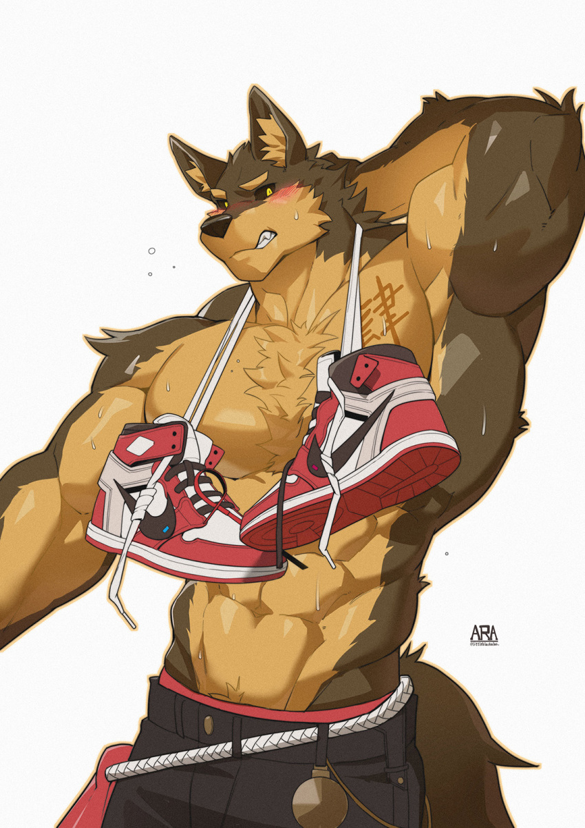 abs anthro barazoku black_nose black_sclera blush bodily_fluids brown_body brown_fur canid canine canis clothing footwear fur hi_res inner_ear_fluff kemono legwear littleblackalas male mammal multicolored_body multicolored_fur muscular muscular_male nike raised_arm shoes shoulder_tuft simple_background sneakers solo sweat tan_body tan_fur tuft two_tone_body two_tone_fur wolf yellow_eyes