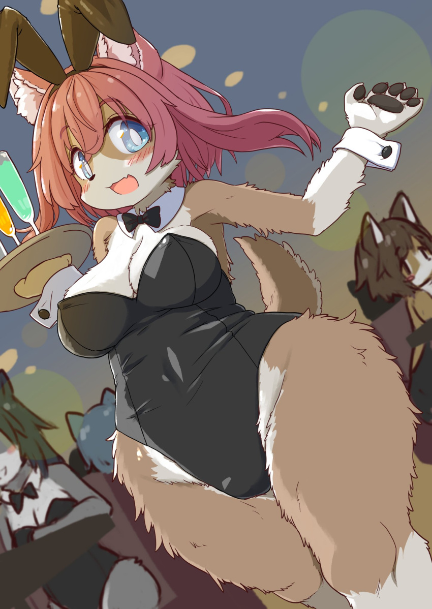 2022 5_fingers anthro anthro_focus big_breasts blue_eyes blush bow_tie breasts brown_body brown_fur canid canine canis claws cleavage clothed clothing cute_fangs domestic_dog fake_ears fake_rabbit_ears female female_focus finger_claws fingers fluffy fur gloves_(marking) group hair hi_res kemono koorinezumi leg_markings low-angle_view mammal markings multicolored_body multicolored_fur open_mouth open_smile pawpads red_hair shirt_collar shirt_cuffs smile socks_(marking) solo_focus translated_description two_tone_body two_tone_fur white_body white_fur