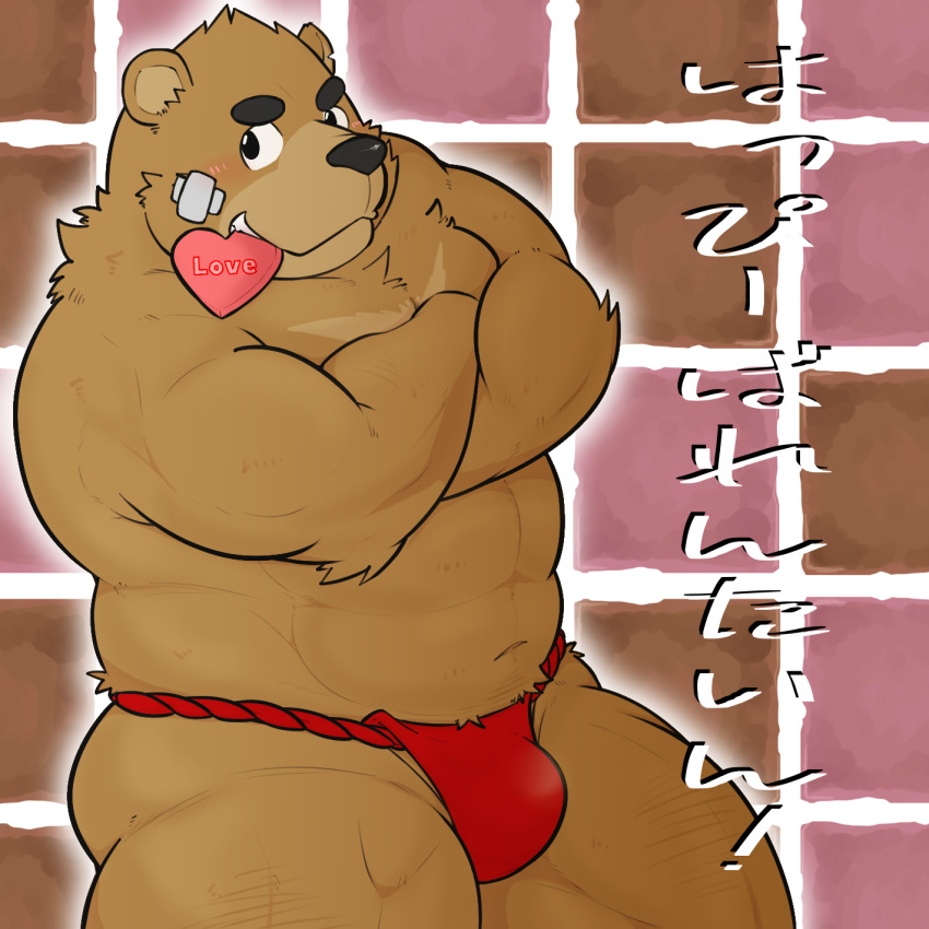 2022 anthro asian_clothing black_nose blush brown_body bulge clothing east_asian_clothing fundoshi goujuyu hi_res holidays japanese_clothing japanese_text kemono male mammal musclegut red_clothing red_fundoshi red_underwear slightly_chubby solo text underwear ursid valentine's_day