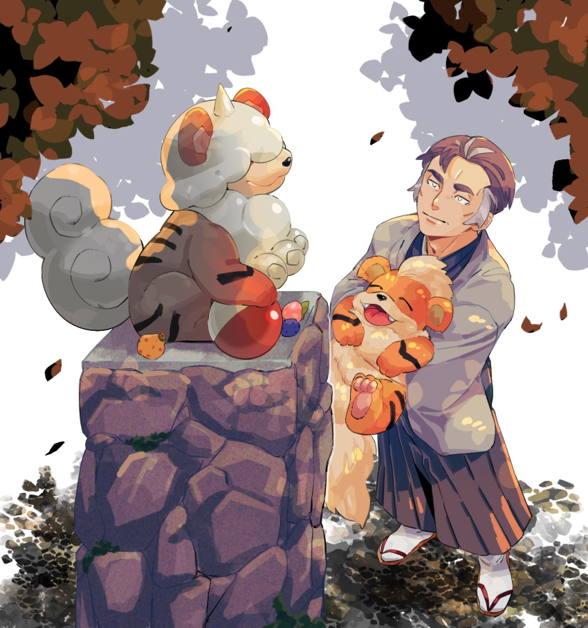 1boy alternate_costume berry_(pokemon) brown_hair brown_hakama closed_mouth commentary_request green_(grimy) grey_hair grey_jacket growlithe hakama highres hisuian_growlithe holding holding_pokemon jacket japanese_clothes kabu_(pokemon) kimono leaves_in_wind looking_up male_focus oran_berry outdoors pokemon pokemon_(creature) pokemon_(game) pokemon_swsh sandals short_hair sitrus_berry smile socks standing white_legwear