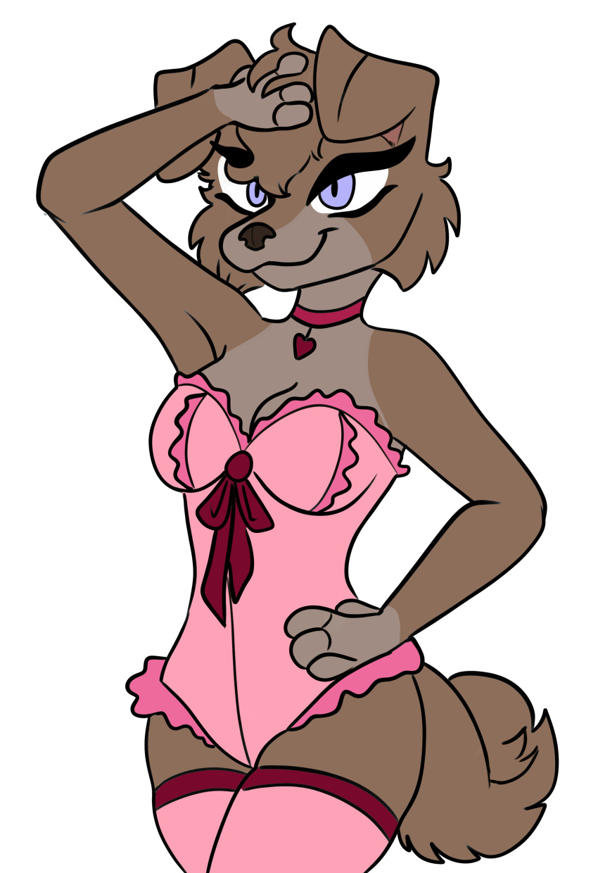 absurd_res anthro brown_body brown_fur canid canine canis chloe_(potato565) clothing collar domestic_dog female fur hi_res katanagirl lingerie mammal multicolored_body multicolored_fur pomeranian portrait pose solo spitz two_tone_body two_tone_fur