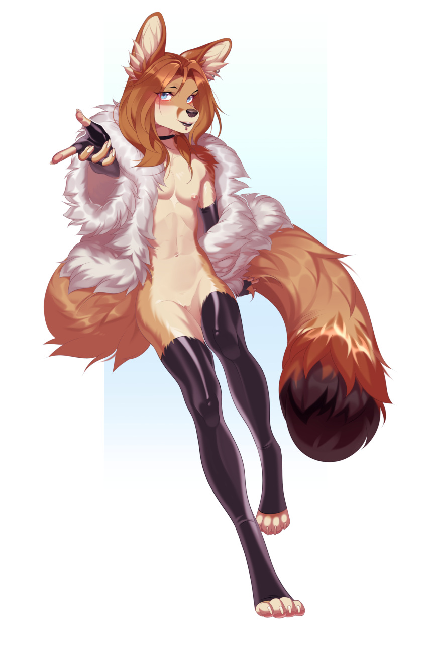 absurd_res andromorph anthro balls brown_tail canid canine clothed clothed/nude clothing coat collar digital_media_(artwork) ear_piercing facial_piercing feet felid feline fennec fingerless_gloves fox fur genitals gloves hair handwear hi_res intersex latex_gloves latex_stockings legwear lip_piercing long_hair long_tail mammal nipples nonbinary_(lore) nude piercing pussy rokito shaded sitting slim solo stockings tessa_(garal) topwear