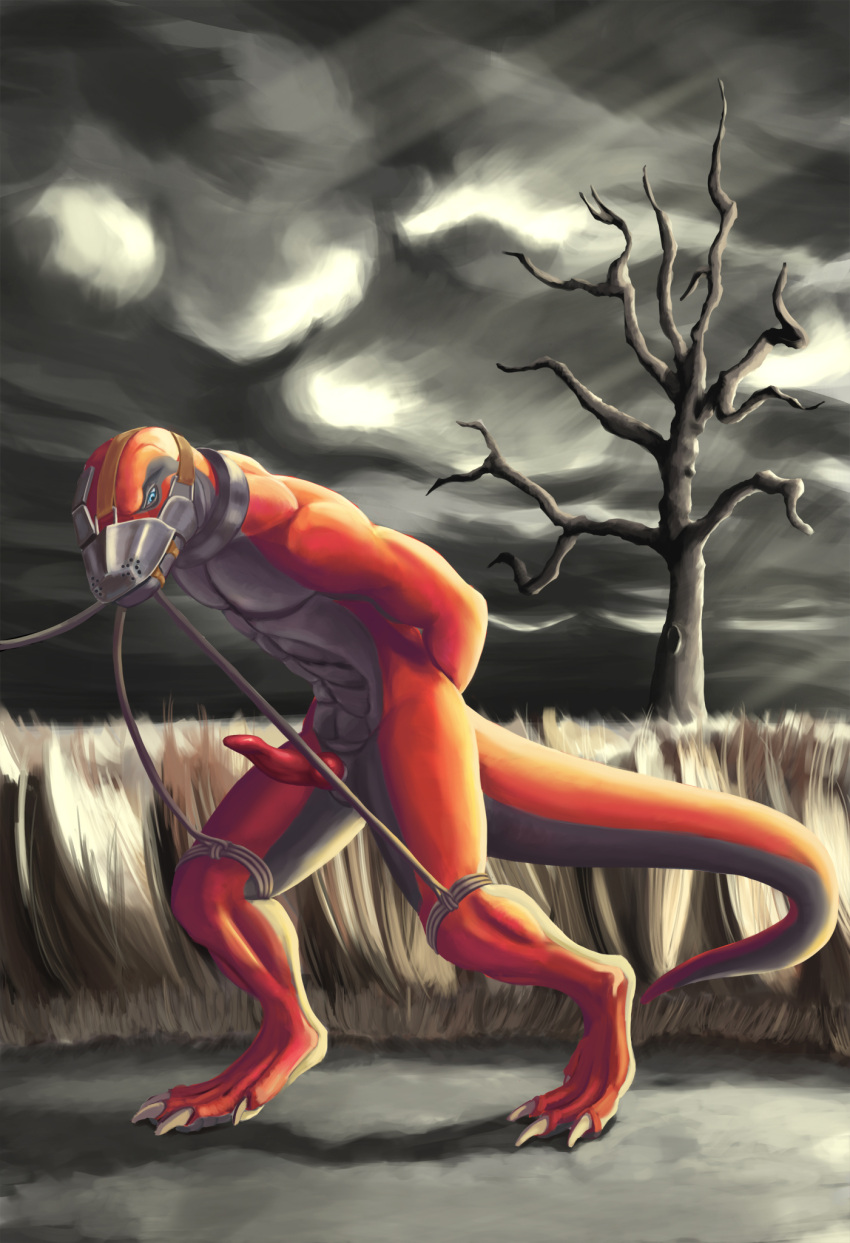 2018 anthro bdsm blue_eyes bondage bound cloud collar erection genitals grey_body grey_scales hands_tied hi_res komodo_dragon leash legs_tied light lizard looking_down male mitokep monitor_lizard muzzle_(object) muzzled nude orange_body orange_scales outside penis plant reptile rope scales scalie slave solo straps sunlight tree walking yagaru