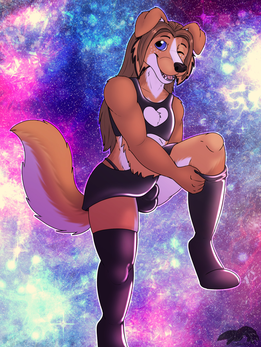 absurd_res anthro bottomwear bra bulge canid canine canis clothed clothing collie crossdressing domestic_dog fetishbruary girly herding_dog hi_res latex_clothing latex_stockings legwear male mammal miniskirt pastoral_dog raised_bottomwear raised_clothing raised_skirt sheepdog skimpy skirt solo stockings thatblackfox_(artist) thong underwear