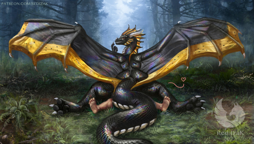 &lt;3 2022 amazing_background ambiguous/ambiguous ambiguous_gender biped black_betty_(meme) black_body black_scales claws detailed_background digital_media_(artwork) dragon duo female_(lore) feral feral_on_top finger_claws forest forest_background hi_res horn human human_on_bottom lying male_(lore) mammal membrane_(anatomy) membranous_wings meme multicolored_body multicolored_scales nature nature_background on_back on_front on_ground plant quadruped red-izak scales scalie toe_claws tree two_tone_body two_tone_scales western_dragon white_body white_scales wings yellow_body yellow_scales