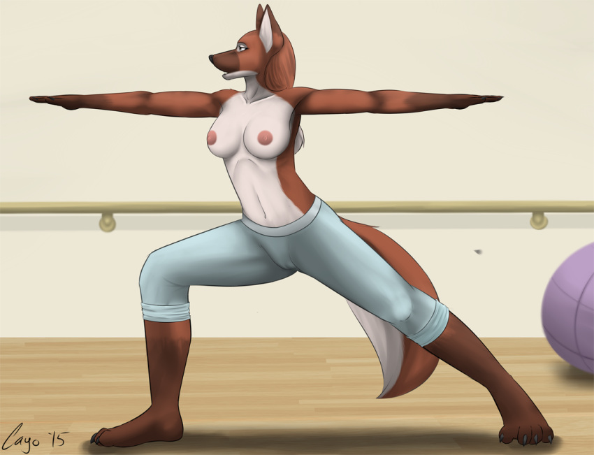 anthro barefoot bottomwear braless breasts camel_toe canid canine canis cayo clothed clothing daniella_(cayo) exercise_ball feet female fur hair hand_rail humanoid_hands inside mammal maned_wolf nipples pants railing red_body red_fur red_hair red_tail solo topless topless_anthro topless_female white_wall wolf wood_floor wood_flooring yoga yoga_pants