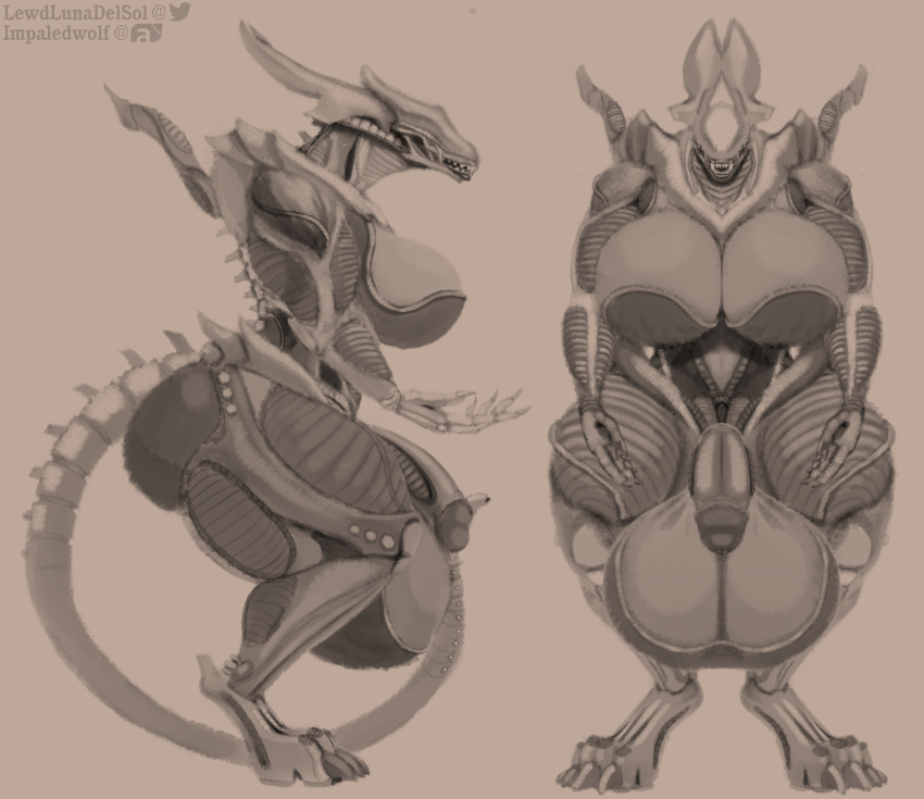 absurd_res alien alien_(franchise) anthro balls big_balls big_breasts big_butt big_penis breasts butt canine_skull claws fangs flaccid genitals gynomorph hi_res huge_balls huge_breasts huge_butt huge_penis hyper hyper_balls hyper_breasts hyper_genitalia hyper_penis impaledwolf intersex muscular muscular_gynomorph muscular_intersex open_mouth ovipositor paws penis solo tail thick_thighs xenomorph