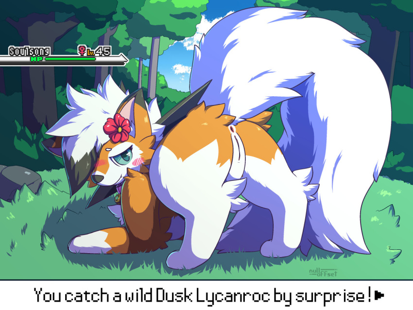 anus aroused ass_up blush butt collar dialogue_box digitigrade dusk_lycanroc female feral flower forest forest_background fur genitals green_eyes humanoid_genitalia inviting looking_at_viewer looking_back lycanroc nature nature_background nintendo nulloffset orange_body orange_fur outside plant pok&eacute;mon pok&eacute;mon_(species) presenting presenting_hindquarters presenting_pussy pussy shy solo solo_focus soulsong_(celestial_wolf) tree user_interface video_games white_body white_fur