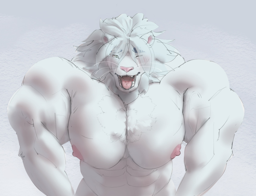 abs anthro biceps blush felid fur lifewonders lion male mammal mane muscular muscular_anthro muscular_male nipples pantherine pecs ripped-saurian snow_(tas) solo tokyo_afterschool_summoners video_games white_body white_fur