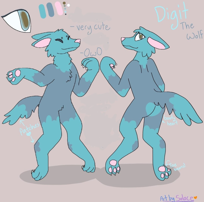 blue_body brown_eyes canid canine canis cute_expression digit_wuffs duo fluffy front_and_back grey_body looking_at_viewer male mammal model_sheet owo patchy solace&lt;3 wolf