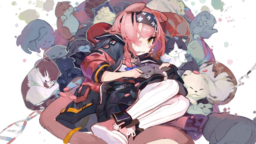 1girl animal animal_ears arknights black_skirt blue_bow blush bow braid brown_eyes cat cat_ears cat_girl cat_tail closed_mouth commentary_request crying crying_with_eyes_open dna frilled_skirt frills goldenglow_(arknights) hair_bow hair_over_shoulder highres jacket long_hair open_clothes open_jacket pink_footwear pink_hair pink_jacket qingpu_liang shirt shoe_soles shoes single_braid skirt solo tail tears thighhighs white_background white_legwear white_shirt