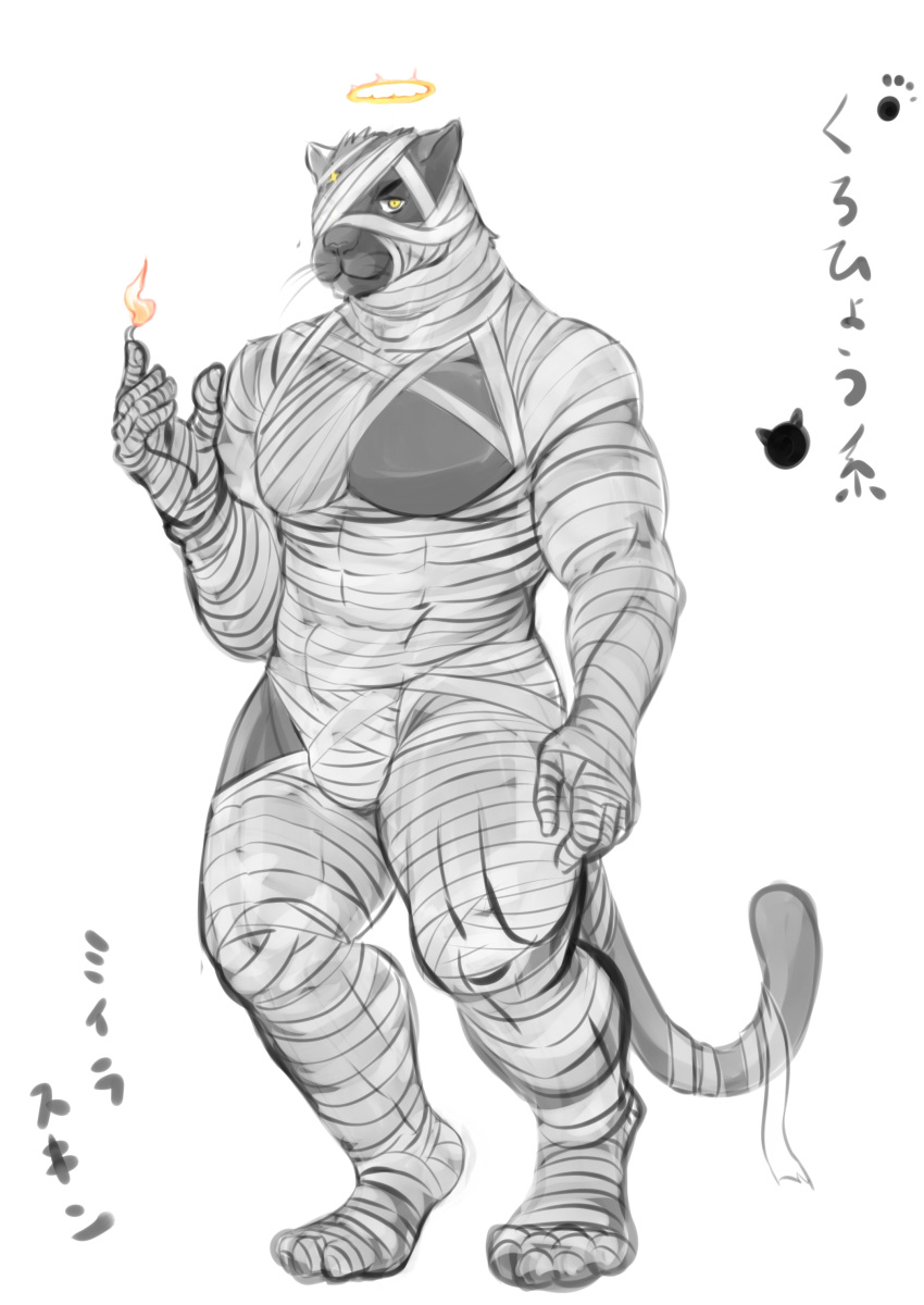 absurd_res anthro anthrofied black_body black_fur elemental_manipulation felid fire fire_manipulation fur hi_res lifewonders male mammal mummy_costume mummy_wrappings muscular muscular_anthro muscular_male pantherine pecs rust_(pixiv) solo tokyo_afterschool_summoners video_games zabaniya