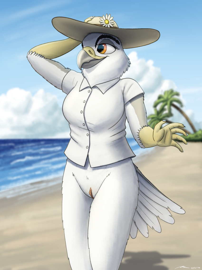 absurd_res annie_(fish_birb) anthro beach bottomless clitoris clothed clothing dress_shirt exhibitionism female fish_birb genitals hi_res kite_(bird) no_pants no_underwear pinup pose pussy seaside shirt short_sleeved_shirt short_sleeves solo sun_hat topwear white-tailed_kite