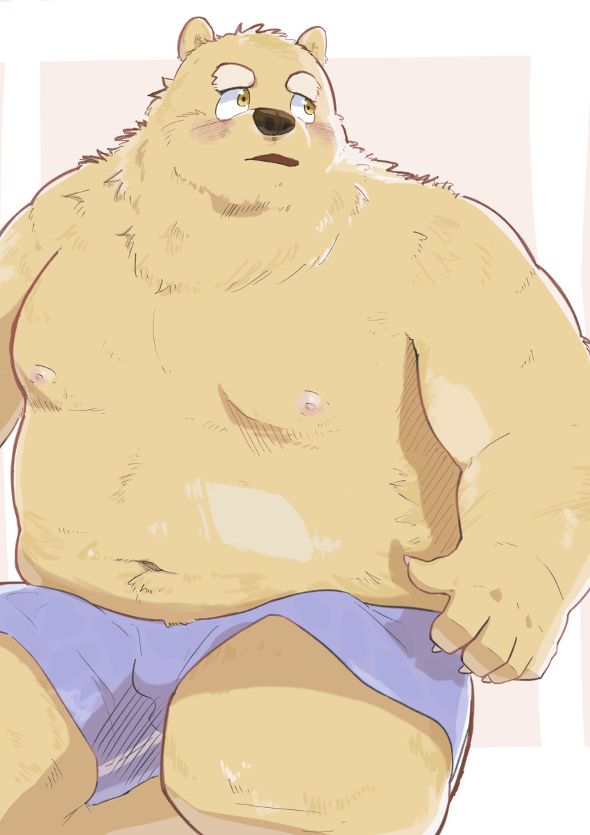 2022 absurd_res anthro belly blush bulge clothing en_1_9 hi_res humanoid_hands kemono male mammal moobs navel nipples overweight overweight_male simple_background sitting solo underwear ursid