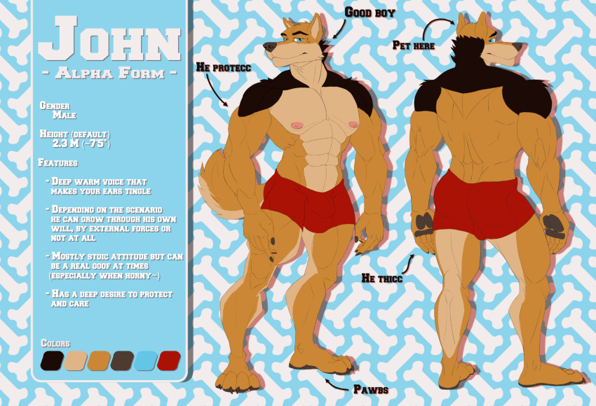 bulge canid canine canis good_boy hi_res john_(disambiguation) male mammal model_sheet muscular wolf