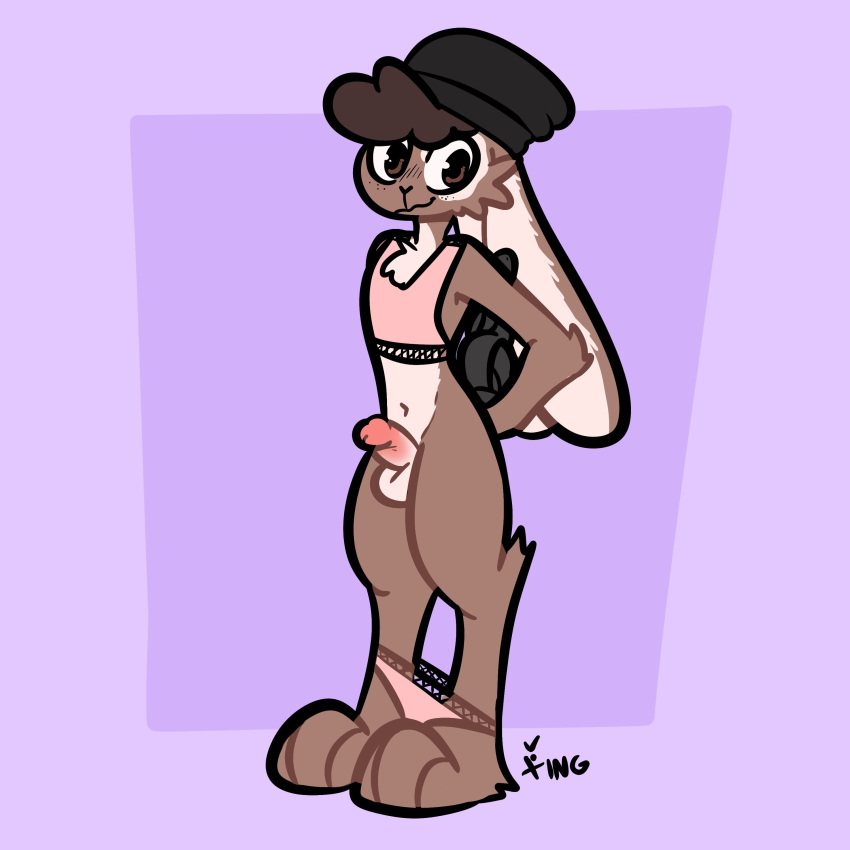 absurd_res anthro balls beanie beanie_hat bedroom_eyes blush blush_lines bottomless bottomless_anthro bottomless_male brown_body brown_fur cheek_tuft chest_tuft clothed clothing crop_top curled_hair elbow_tuft erection facial_tuft fur genitals girly hair hat headgear headwear hi_res lagomorph leporid looking_at_viewer male mammal narrowed_eyes panties panties_around_ankles penis purple_background rabbit seductive shirt simple_background small_penis smile smirk smug smug_face smug_grin solo the_xing1 topwear tuft underwear