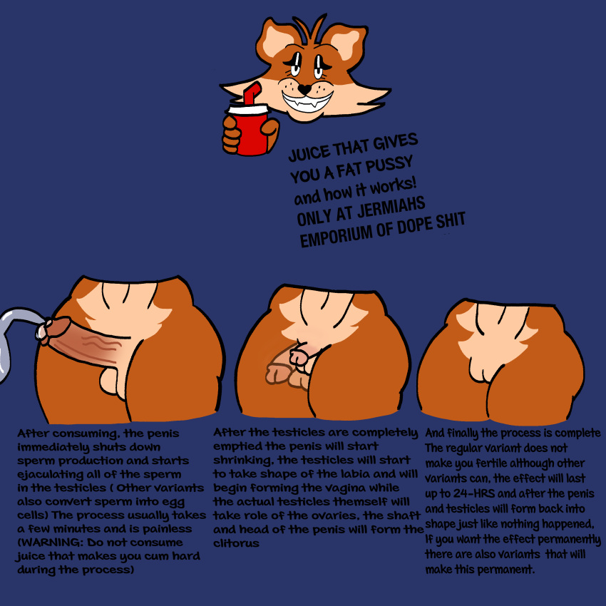 absurd_res anthro balls canid canine ejaculation female fox gender_transformation genitals gynomorph hi_res intersex karen_the_fox_(mexicommie) mammal mexicommie midriff penis penis_shrinking plump_labia potion pussy red_fox solo text thick_thighs trans_(lore) trans_woman_(lore) transformation wide_hips