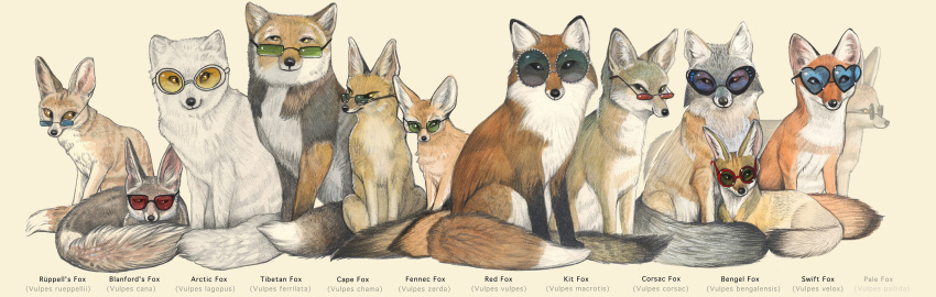 absurd_res ambiguous_gender arctic_fox bengal_fox black_body black_fur blanford's_fox canid canine cape_fox corsac_fox eyewear eyewear_only fennec feral fox fur grey_body grey_fur group hi_res kit_fox large_group lisa_fields mammal nude pale_fox r&uuml;ppell's_fox red_body red_fox red_fur simple_background sunglasses sunglasses_on_face sunglasses_only swift_fox tan_body tan_fur tibetan_sand_fox white_background white_body white_fur