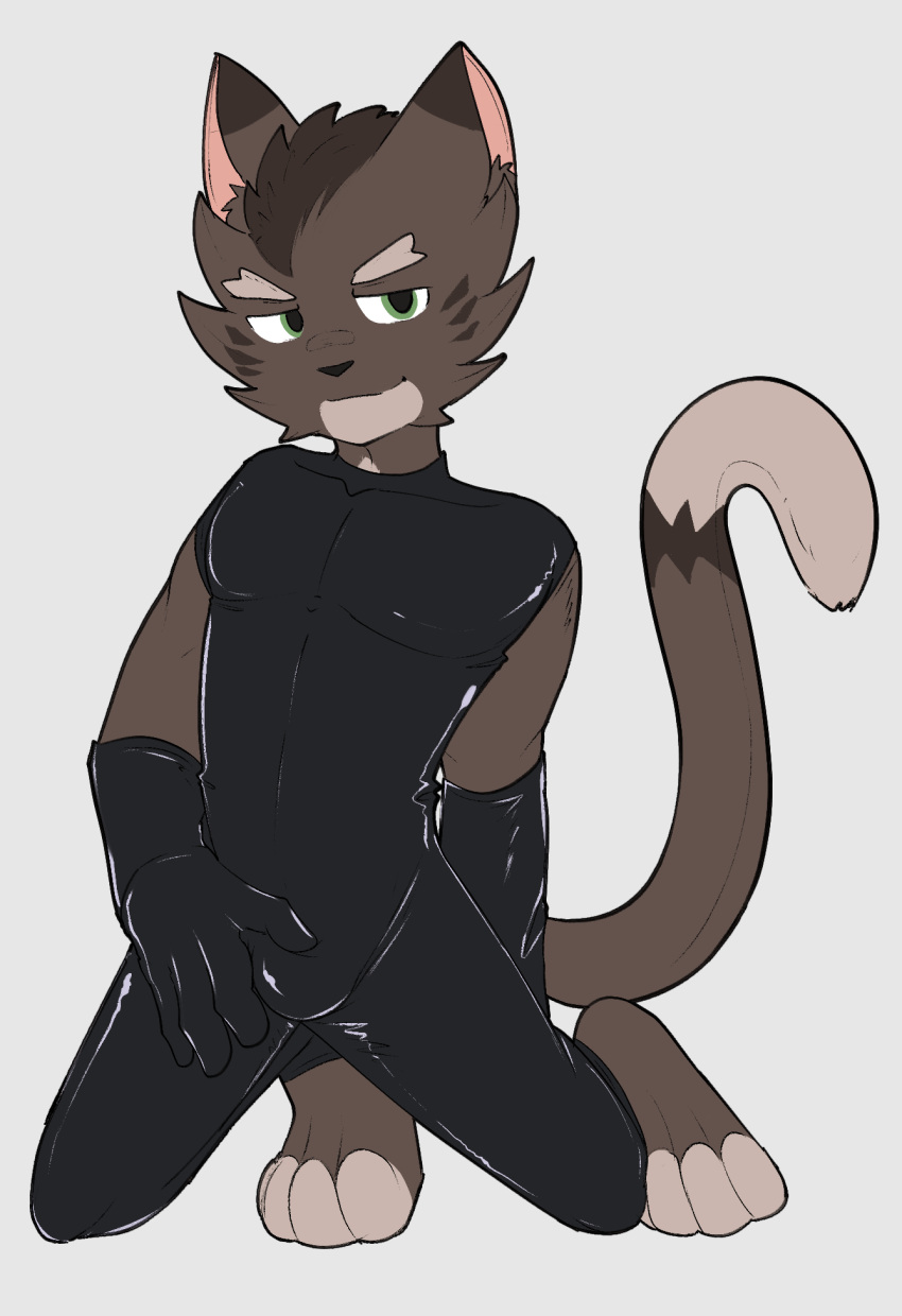 anthro brown_body brown_fur bulge bulge_grab clothed clothing crouching domestic_cat eyebrows felid feline felis fur gloves green_eyes handwear hi_res latex latex_gloves looking_at_viewer male mammal nakatakoi rubber rubber_clothing rubber_suit simple_background smile solo tail wav_(nakatakoi)