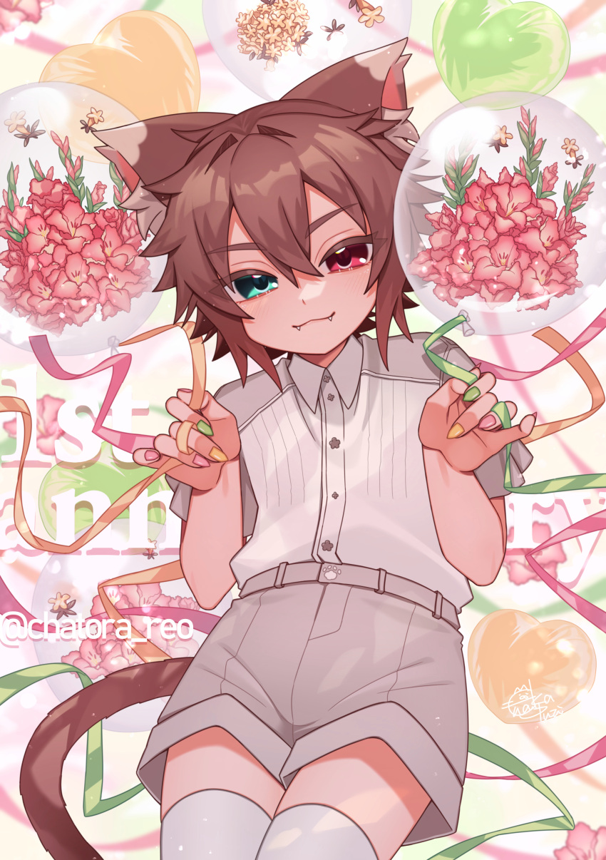 1boy absurdres animal_ears blue_eyes blush bouquet brown_hair cat_boy cat_ears cat_tail chatora_reo flower heterochromia highres indie_virtual_youtuber looking_at_viewer nail_polish pale_skin pink_eyes ribbon solo tail virtual_youtuber wenaka_yuuji