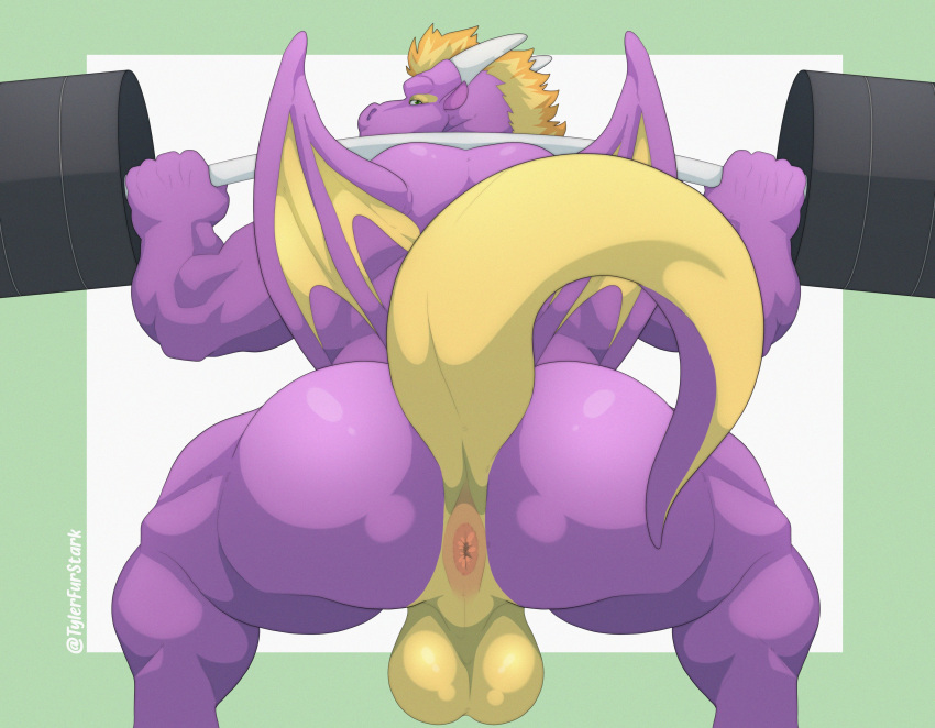 absurd_res anthro anus backsack balls barbell blonde_hair butt dragon genitals hair hi_res horn male muscular muscular_anthro muscular_male nude purple_body raised_tail rear_view scalie solo tylerstark wings