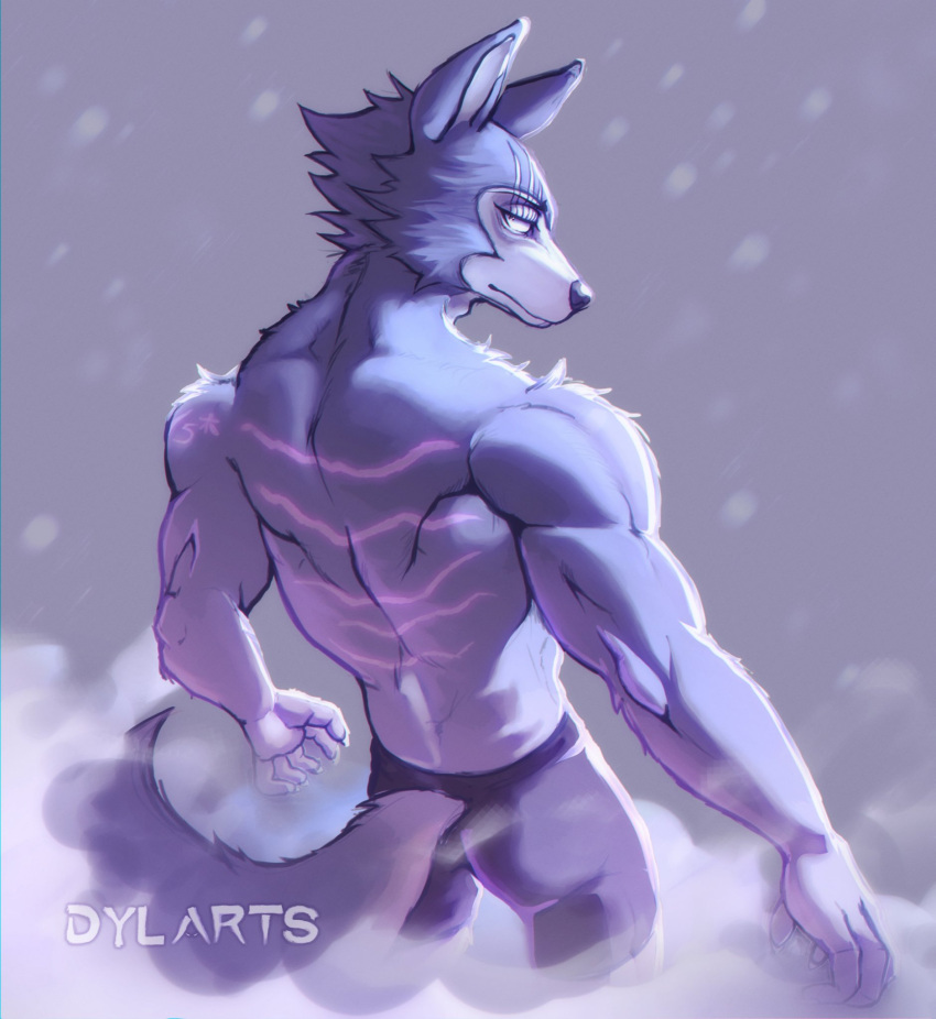 2022 anthro artist_name back_muscles beastars big_muscles bottomwear canid canine canis clothed clothing dylarts fog fur grey_background hi_res legoshi_(beastars) male mammal muscular muscular_anthro muscular_male number pants scar shaded simple_background solo standing tattoo topless topless_anthro topless_male triceps tuft wolf