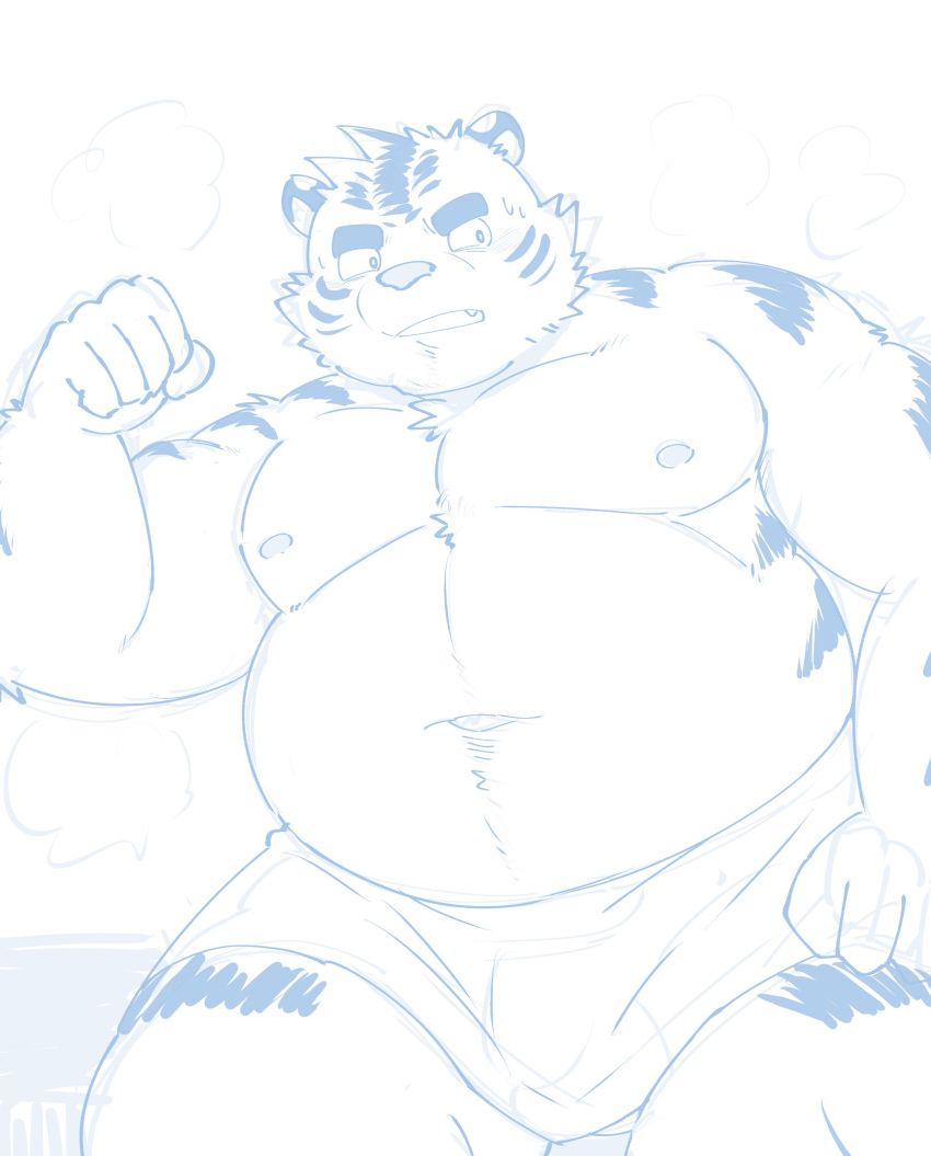 2022 absurd_res anthro balls barely_visible_balls barely_visible_genitalia belly felid genitals hi_res humanoid_hands kemono male mammal moobs navel nipples overweight overweight_male pantherine sketch solo tiger towel zuboboz
