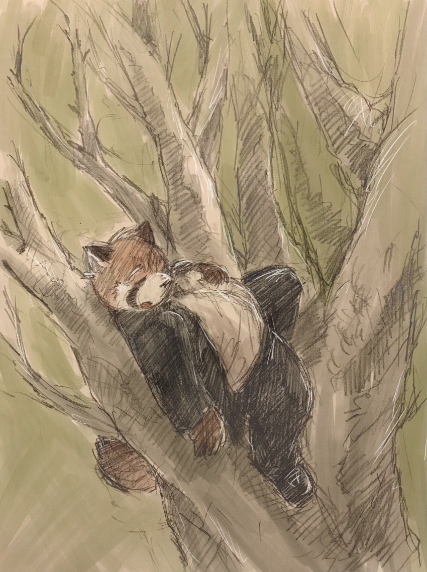 2022 absurd_res ailurid anthro aotadobukitch bottomwear clothing eyes_closed hi_res kemono male mammal outside overweight overweight_male pants plant red_panda shirt sleeping solo topwear tree