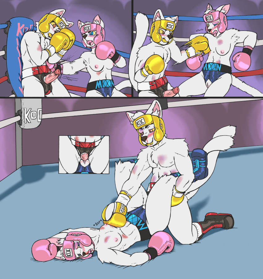 2019 absurd_res anthro blue_eyes boots boxing boxing_gloves breast_punch breasts chest_tuft clothed clothing competition crotchless_bottomwear crotchless_clothing dcheese digital_media_(artwork) domestic_cat duo felid feline felis female fighting_ring footwear from_front_position fur genitals handwear headgear hi_res humanoid_genitalia humanoid_penis koc lying male male/female mammal missionary_position mouthguard navel nipples on_back orange_eyes penetration penis punch sex sexfight sexual_competition sport topless tuft vaginal vaginal_penetration white_body white_fur yellow_sclera