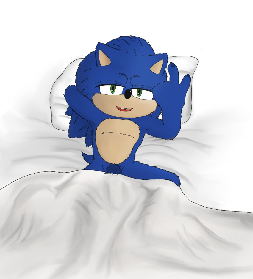 hedgehogblue02 hi_res male pubes pubes_exposed sega sonic_the_hedgehog sonic_the_hedgehog_(film) sonic_the_hedgehog_(series)