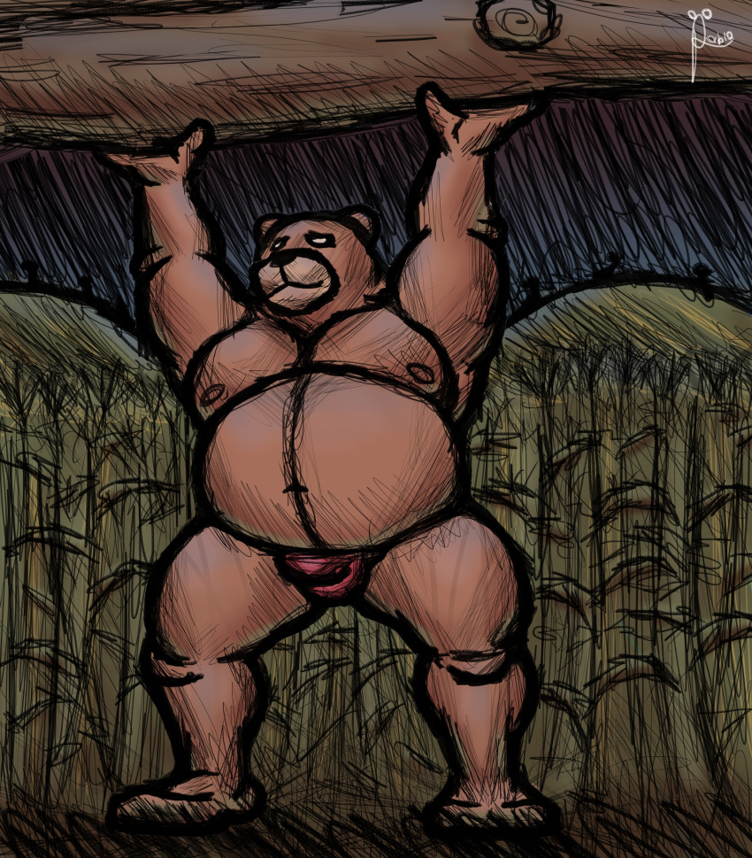 alanottaviano anthro barazoku belly brown_bear hi_res male male/male mammal muscular overweight slightly_chubby solo ursid ursine