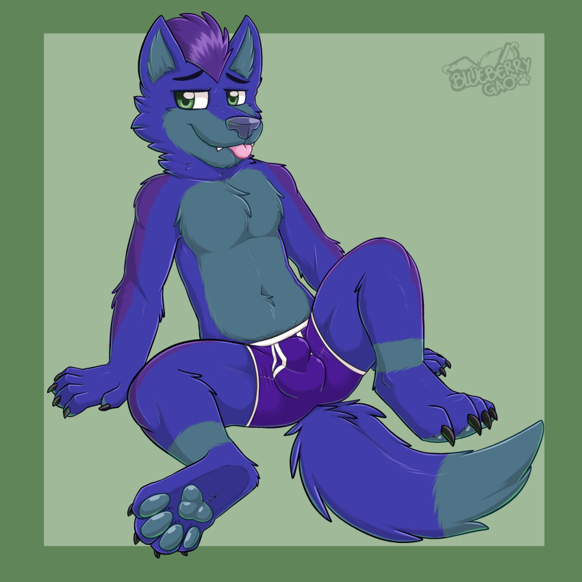 1:1 2022 anthro balls_outline biped black_eyebrows blep blue_body blue_fur blue_inner_ear blue_pawpads border boxer_briefs bulge canid canine cheek_tuft chest_tuft claws clothing cute_fangs detailed_bulge dipstick_tail eyebrows facial_tuft fur gaokun genital_outline green_background green_border green_eyes hair hi_res inner_ear_fluff looking_at_viewer male mammal markings monotone_ears monotone_hair monotone_inner_ear multicolored_body multicolored_fur pawpads purple_clothing purple_hair purple_underwear simple_background solo tail_markings toe_claws tongue tongue_out tuft two_tone_body two_tone_fur underwear watermark