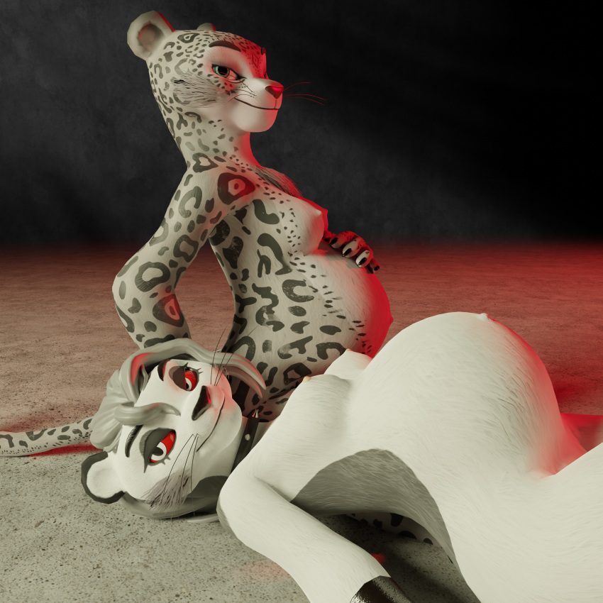 1:1 absurd_res anthro belly big_belly blender_(software) breasts collar duo felid feline female female/female hi_res loops_boops lying mammal on_back pantherine pregnant sitting snow_leopard vrchat